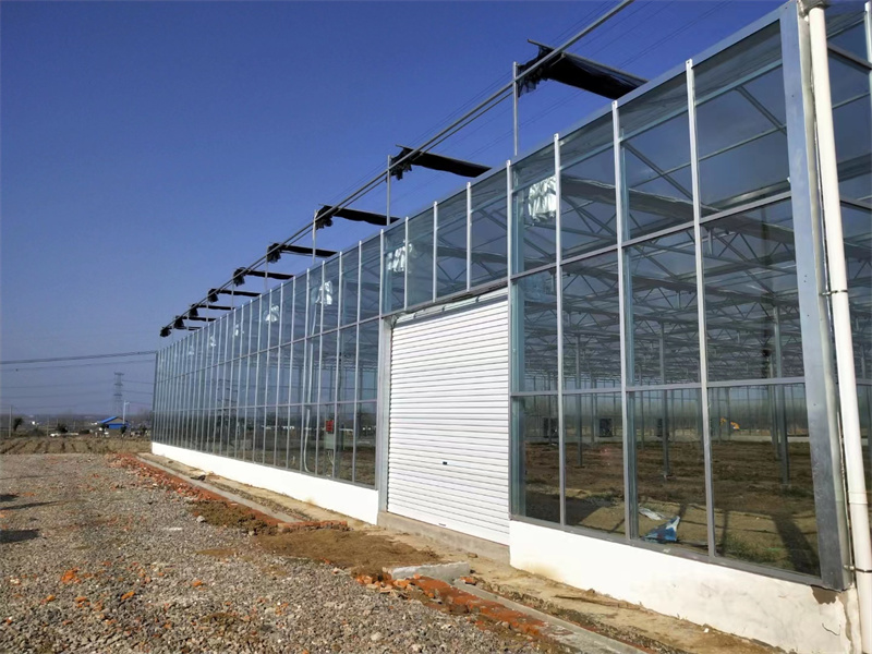 夏季温室大棚降温的方法有哪些？