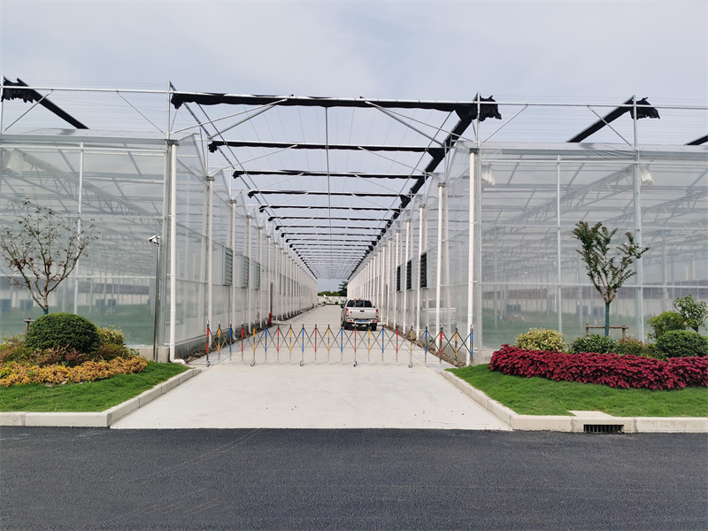 薄膜温室