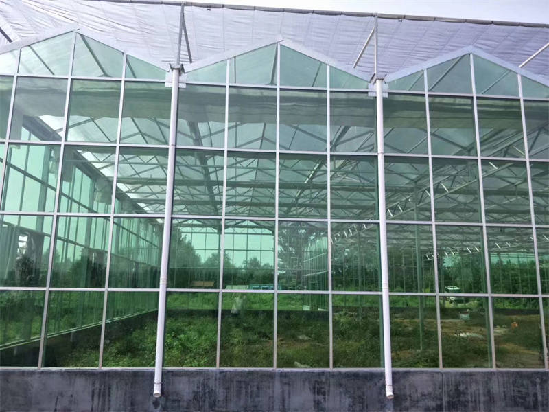玻璃温室