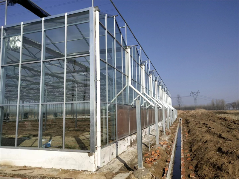 玻璃温室