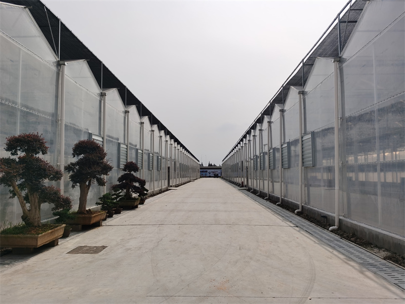 薄膜连栋温室