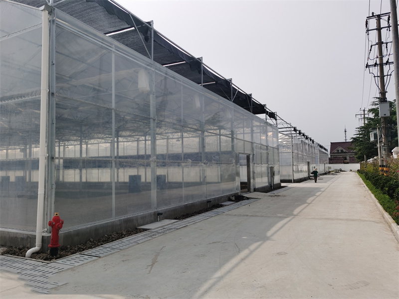 薄膜连栋温室