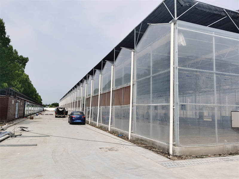 薄膜连栋温室