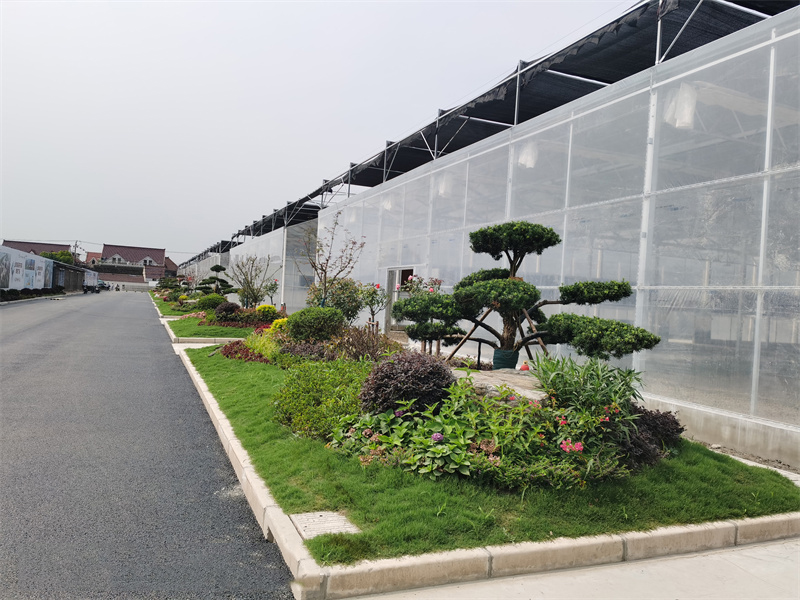 薄膜连栋温室