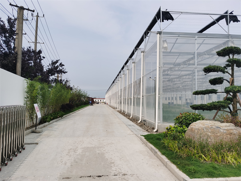 薄膜连栋温室